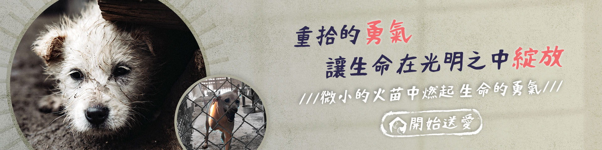 重拾 狗狗 勇氣，讓牠們繼續發光