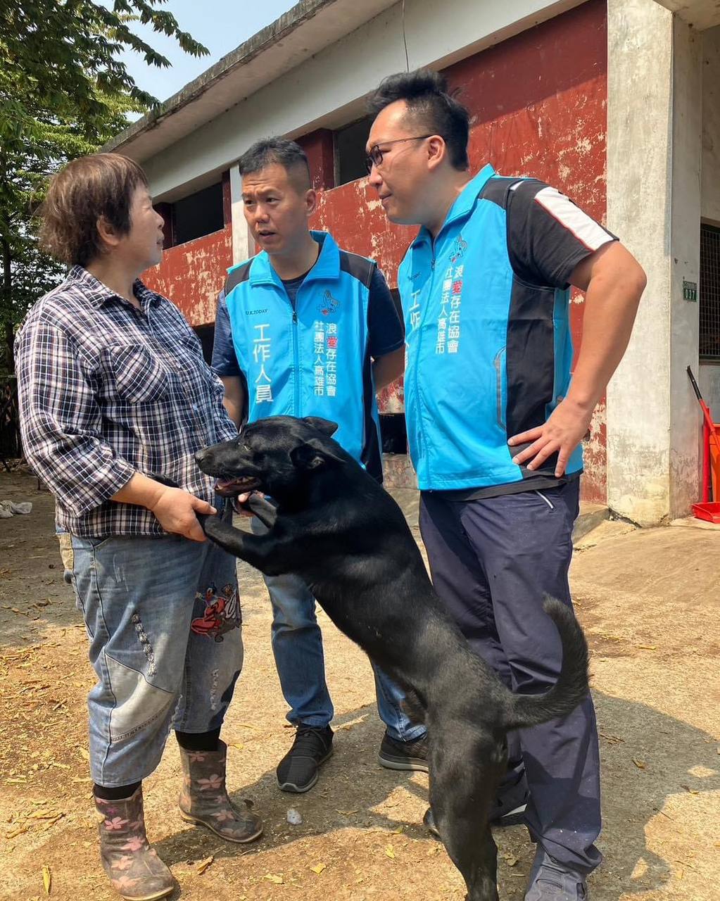 浪愛存在 救助流浪狗