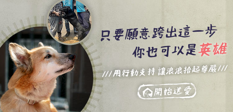  用行動支持 開始送愛 