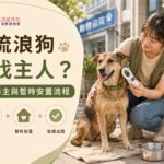 撿到流浪狗怎麽找主人