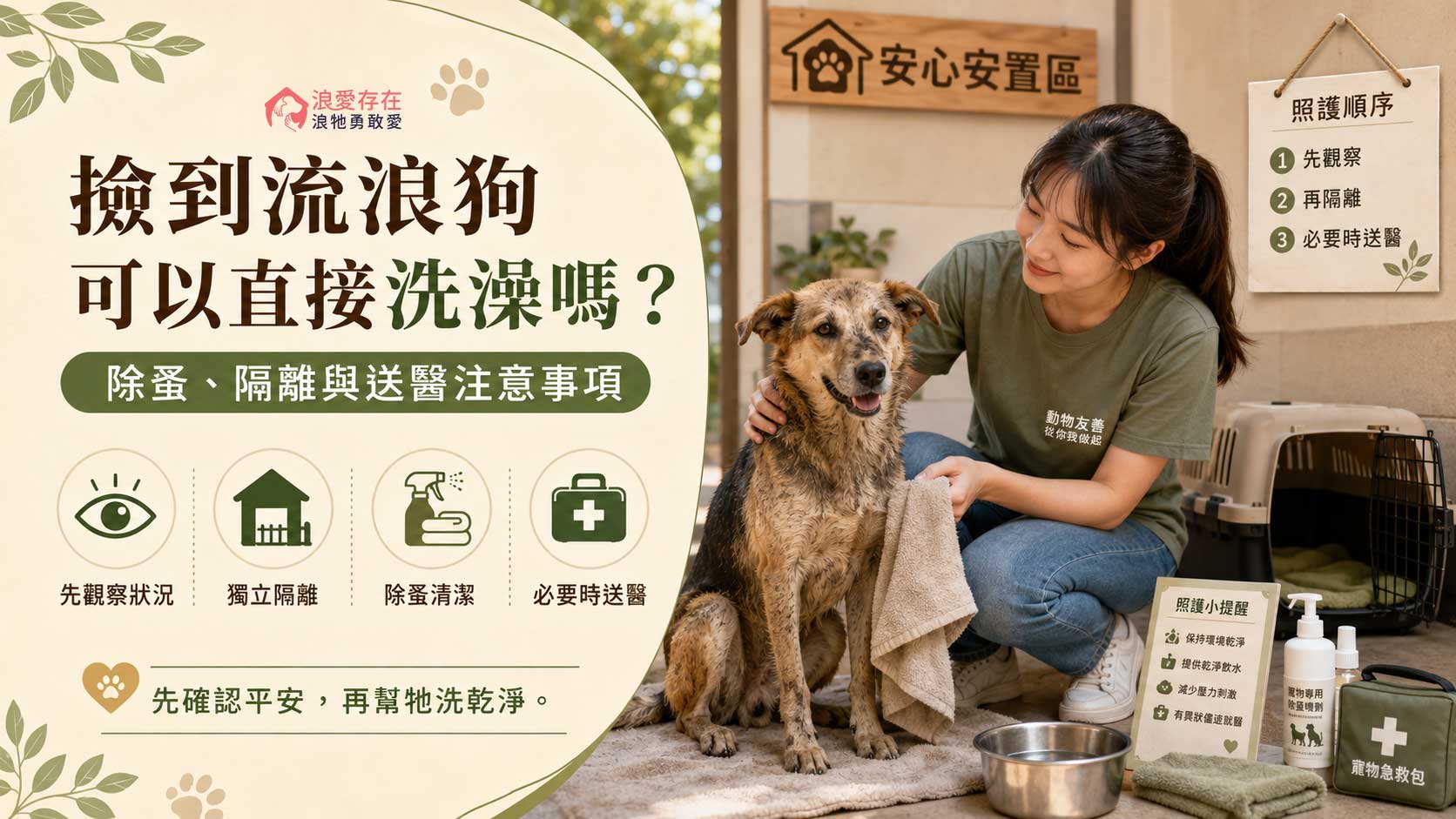 見到流浪狗可以直接洗澡嗎