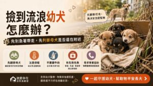 撿到流浪幼犬怎麼辦？先別急著帶走，判斷母犬是否還在附近