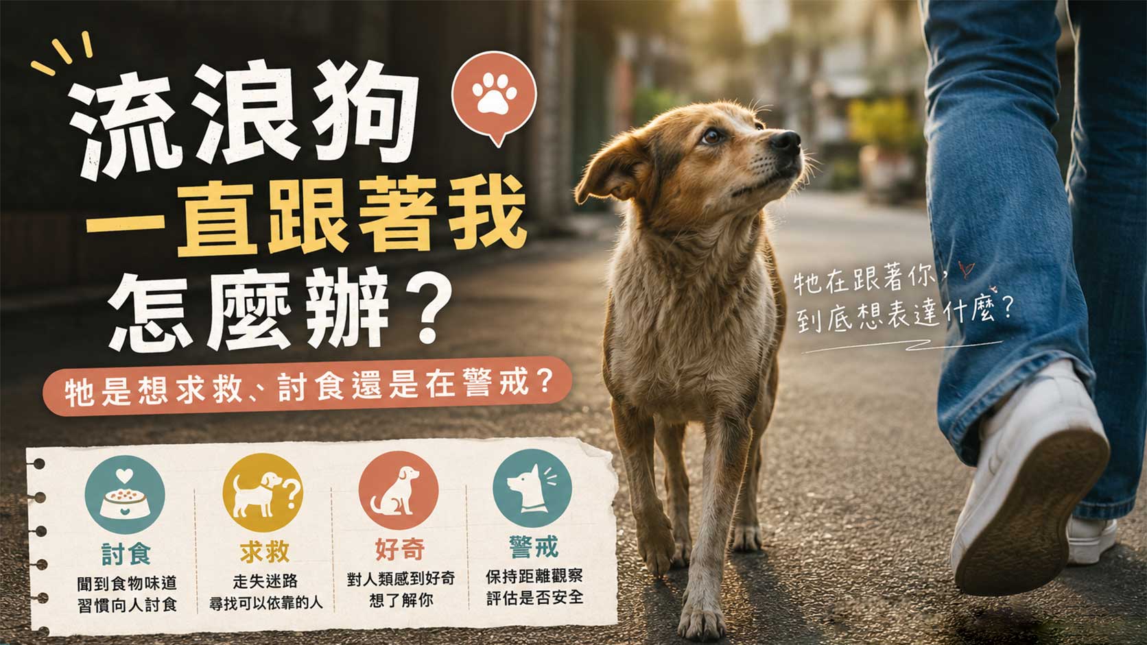 流浪狗一直跟着我怎麼辦？
