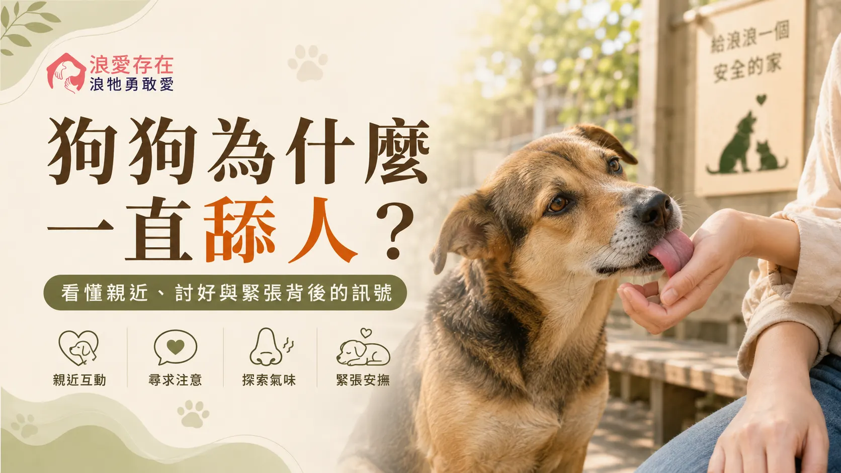狗狗爲什麼一直舔人？看懂親近、討好與緊張背後的訊號