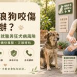 被流浪狗咬傷怎麼辦？傷口處理、就醫與狂犬病風險