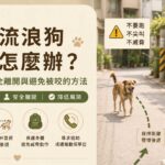 遇到流浪狗怎麼辦？不要跑安全離開與避免被咬的方法