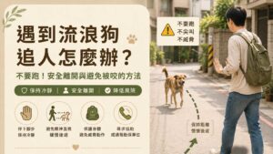 遇到流浪狗怎麼辦？不要跑安全離開與避免被咬的方法