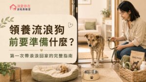 領養流浪狗前要準備什麼？第一次帶浪浪回家的完整指南