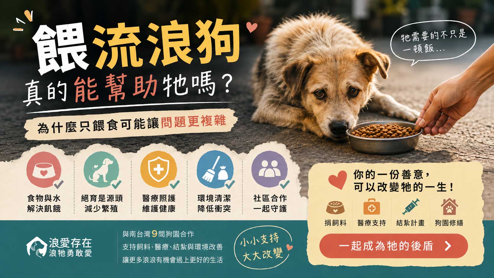 餵流浪狗真的能幫助牠嗎？為什麼只餵食可能讓問題更複雜