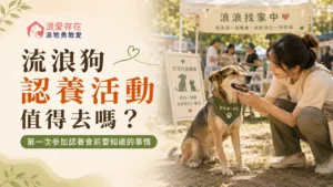 流浪狗認養活動值得去嗎？第一次參加認養會前要知道的事情