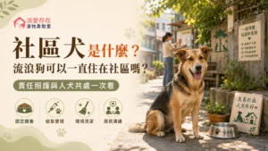 社區犬是什麼流浪狗可以一直住在社區嗎？