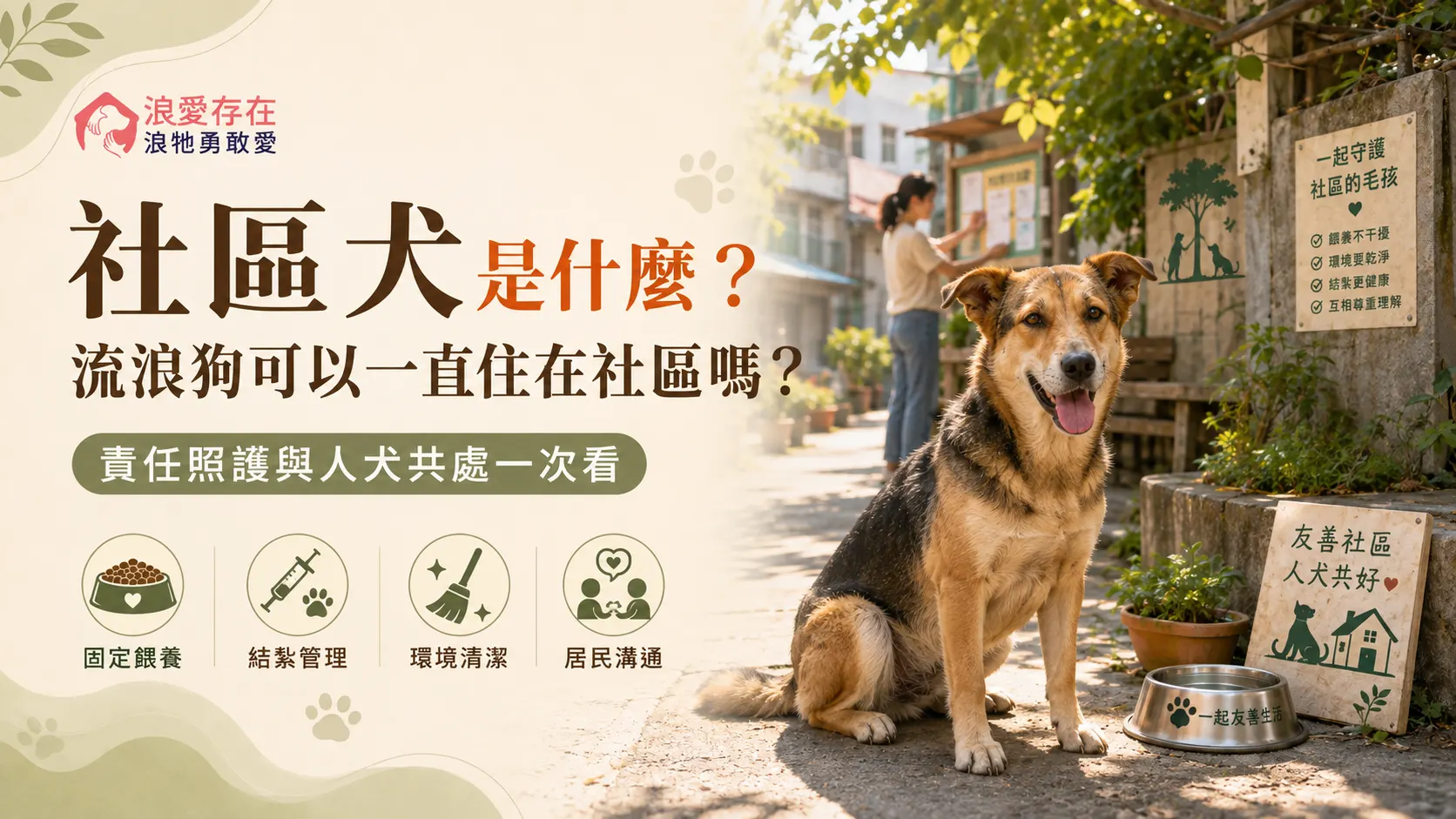 社區犬是什麼流浪狗可以一直住在社區嗎？