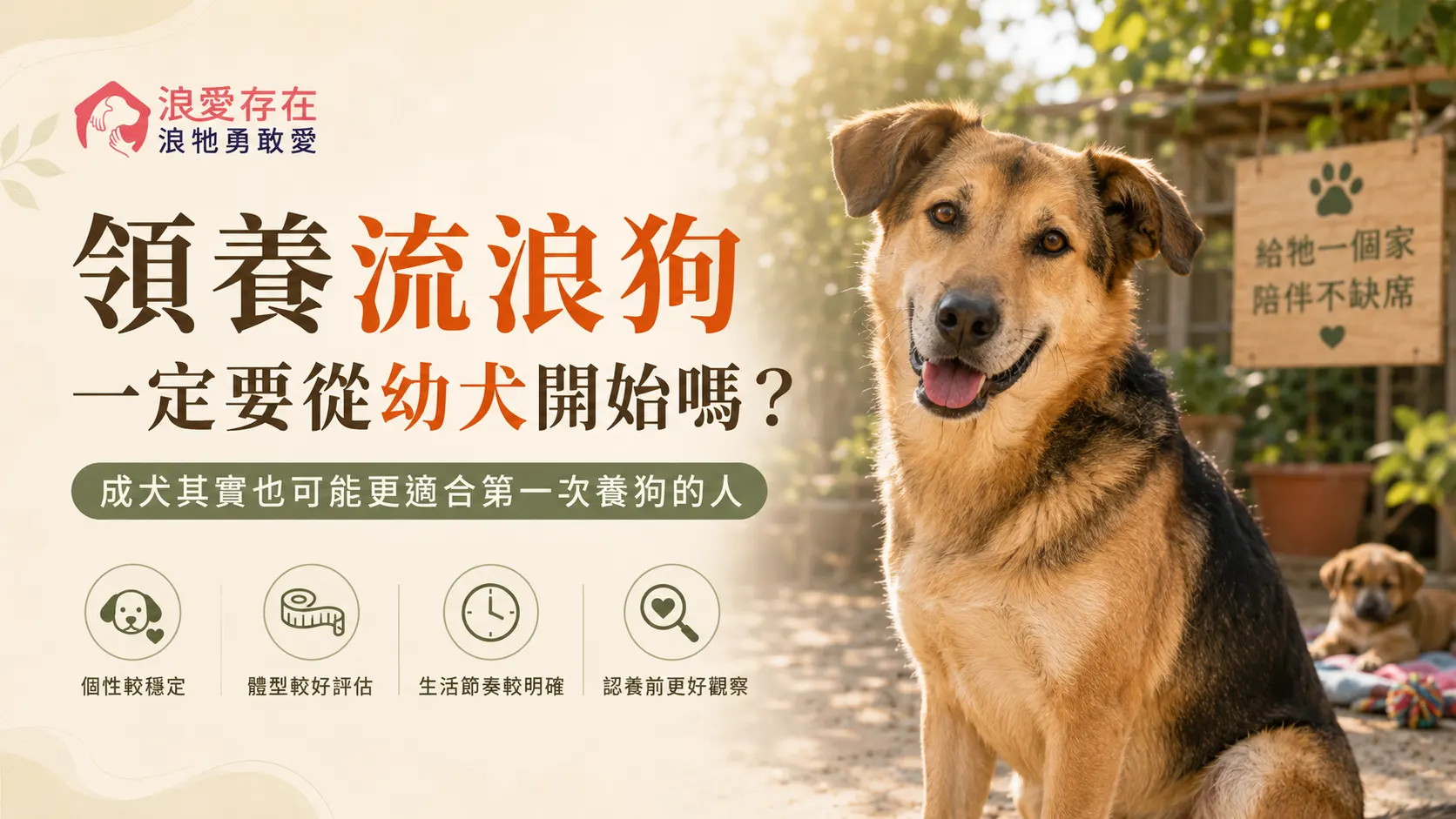 領養流浪狗一定要從幼犬開始嗎？